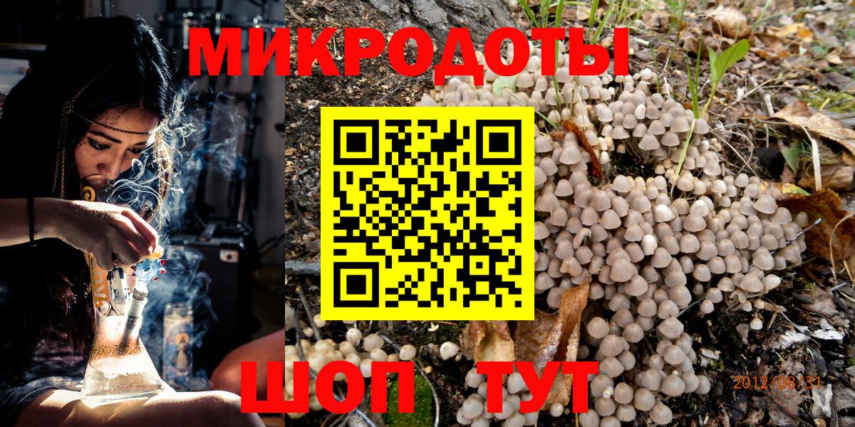Галлюциногенные грибы Psilocybe  Вход с VPN  наркошоп  Кохма  Галлюциногенные грибы мухоморы 