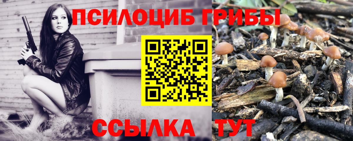 Псилоцибиновые грибы MAGIC MUSHROOMS Кохма